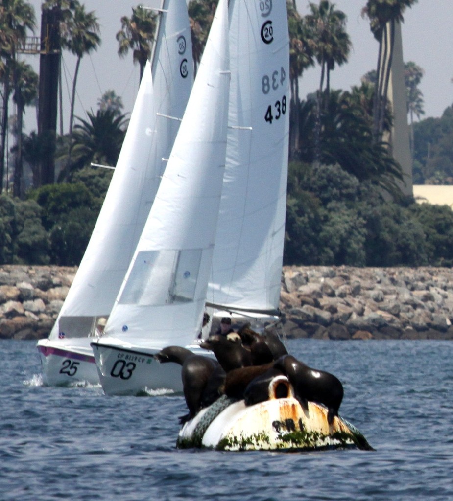 The Cal 20 rooting section - Cal 20 Class Championship 2011 © Rich Roberts http://www.UnderTheSunPhotos.com